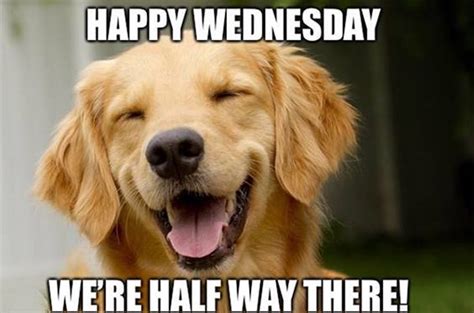  "Today is Hump Day. . Funny happy wednesday